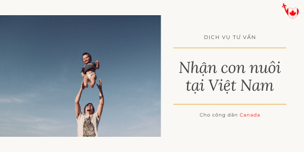 Dịch vụ tư vấn nhận con nuôi tại Việt Nam cho công dân Canada
