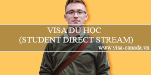 Visa du học Canada (Student Direct Stream)